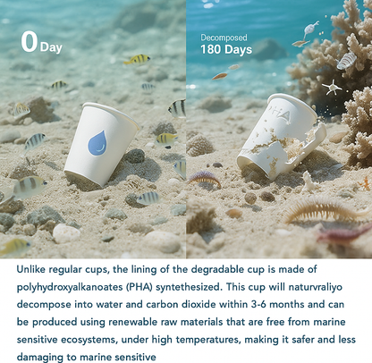 Custom PHA Biodegradable Paper Cups – Eco-Friendly Disposable Coffee, Tea & Hot Drink Cups Plastic Ban Friendly HL07CP302